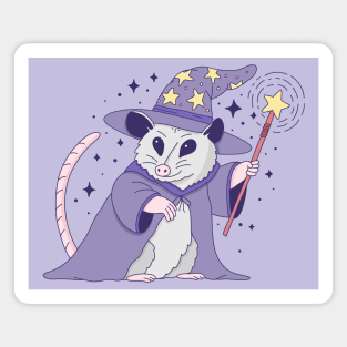 Opossum Wizard Magnet